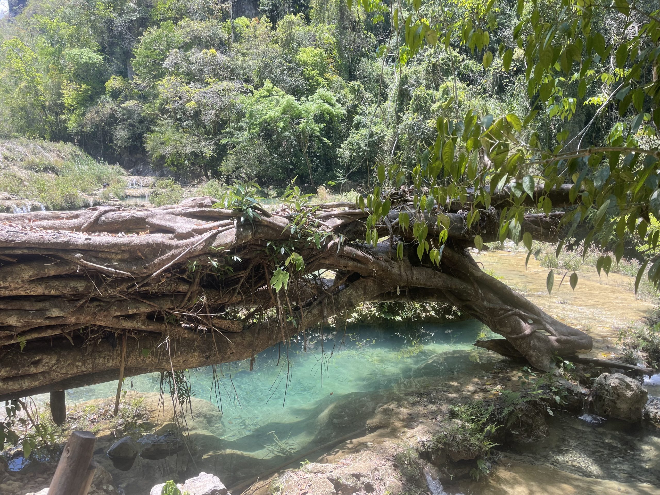 rope swinging is a top thing to do in semuc champney