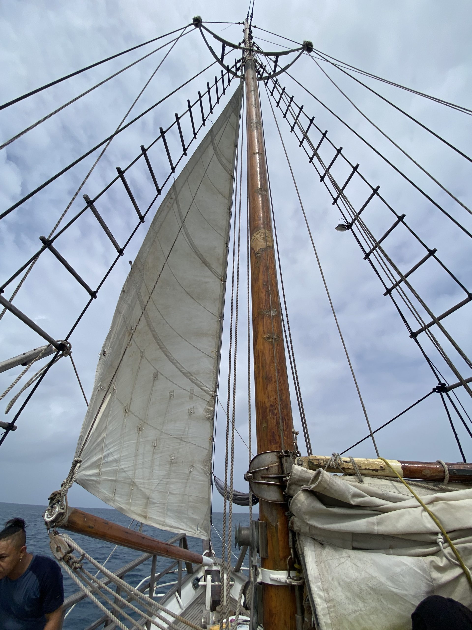 blue sailing 