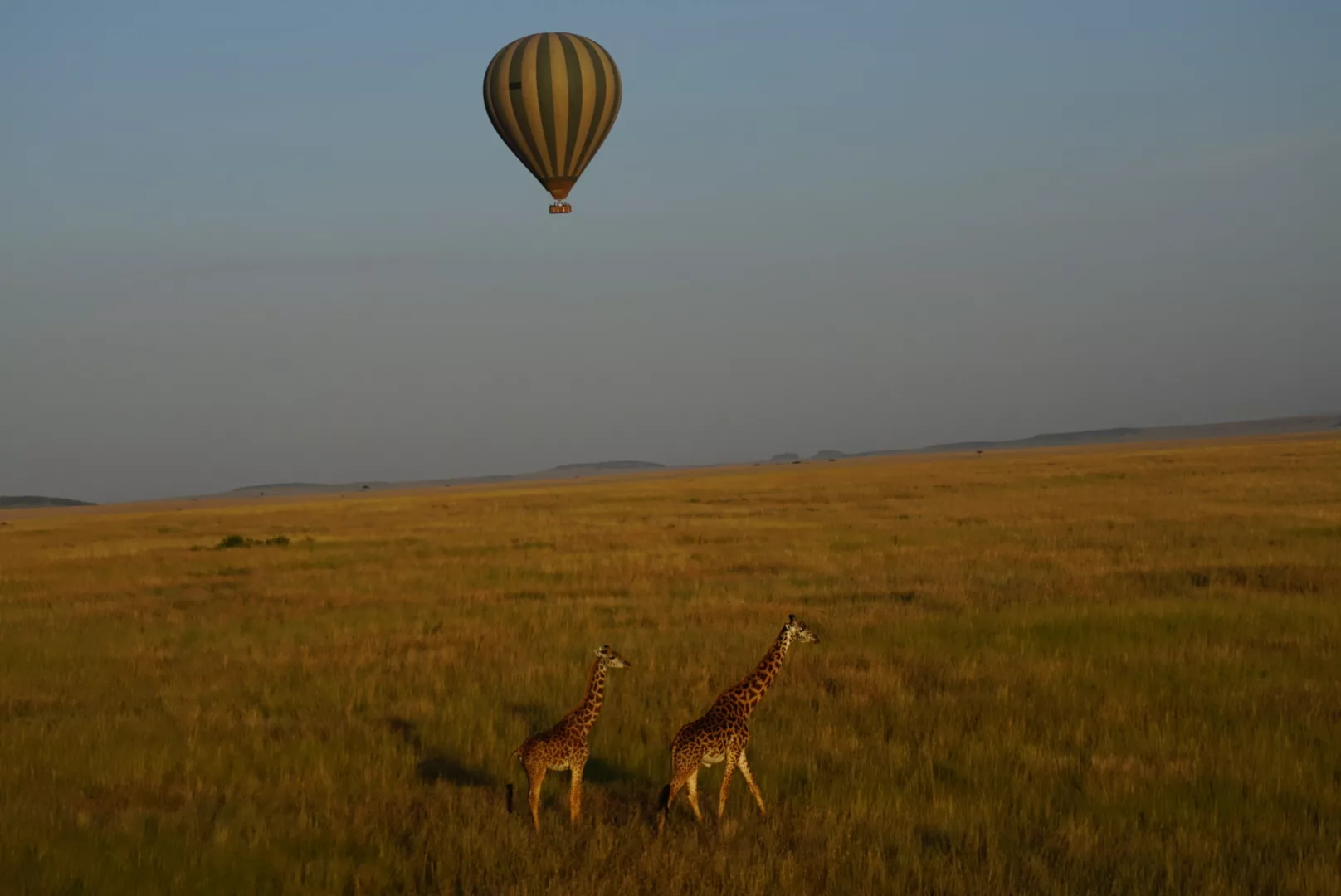 Hot Air Balloon Safari over Maasai Mara National Reserve