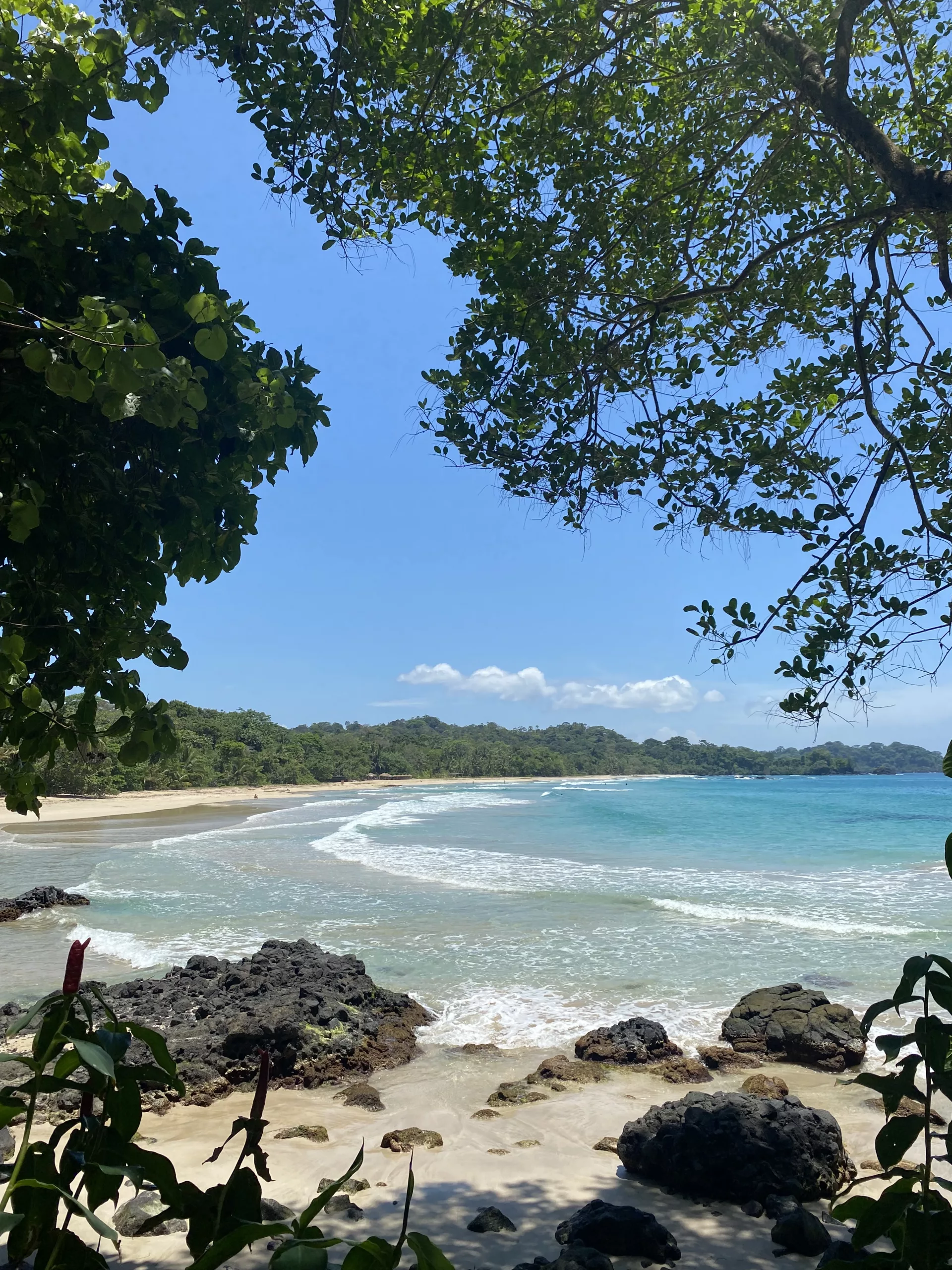Bocas del Toro Island Paradise: Our Ultimate Guide June 2024